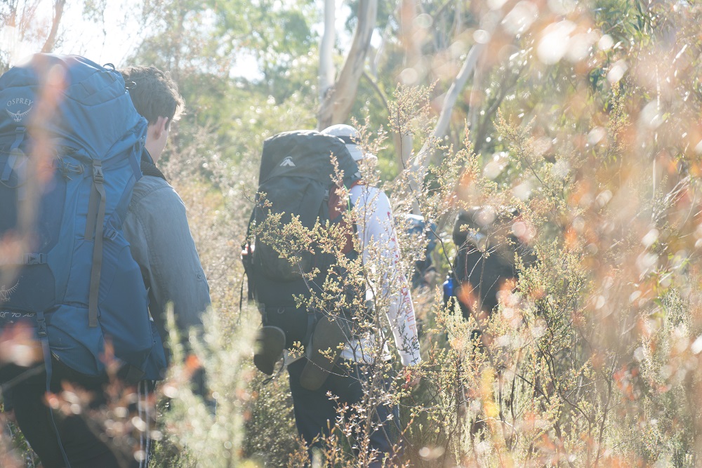 backpacking australia