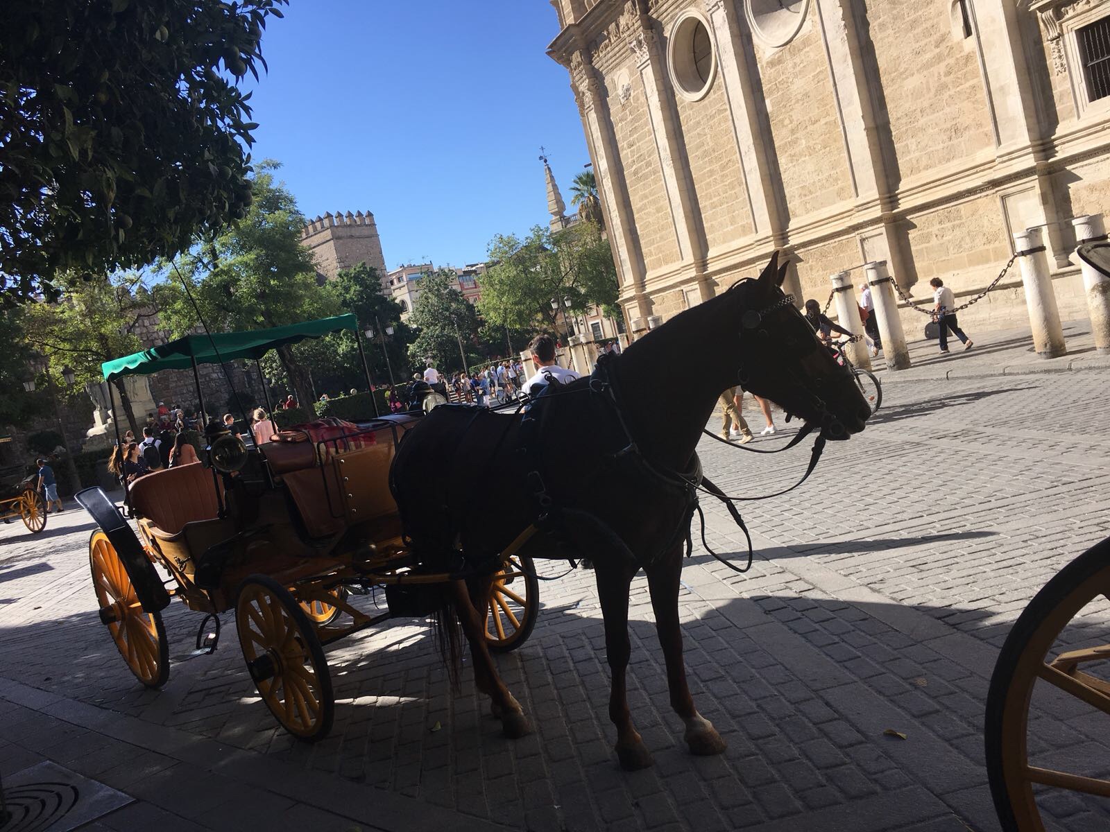 Seville City Break Guide: Things to see and do!