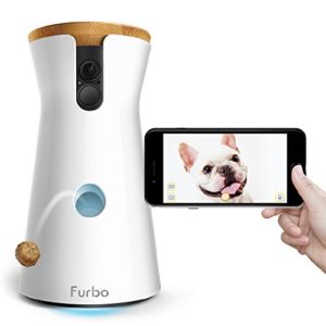 15 of the most Paw-fect Christmas gifts for cats &amp; dogs | The Daily ...