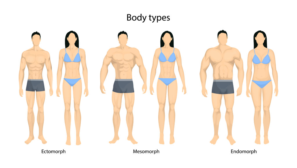 Body types: ectomorph, mesomorph, endomorph. - LA Vascular