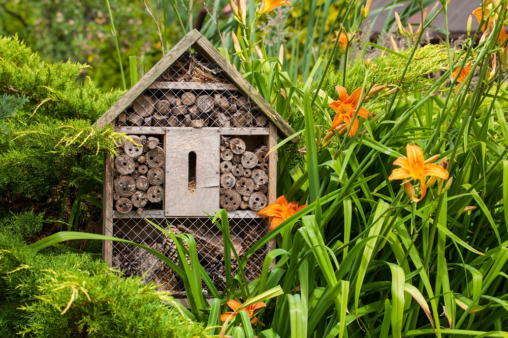 7 DIY Ways to Help Kids Create a Bright, Sustainable Garden