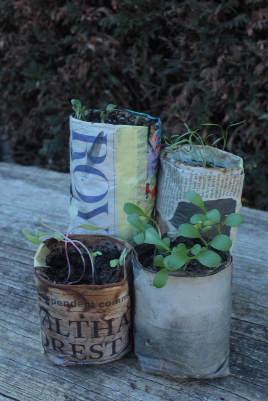 gardening with kids