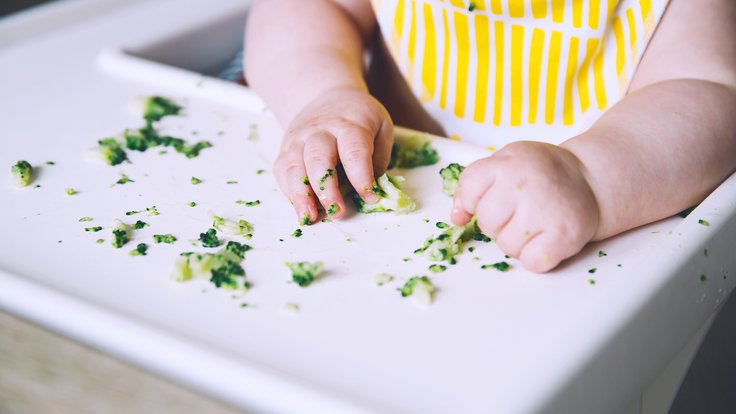baby weaning guide 