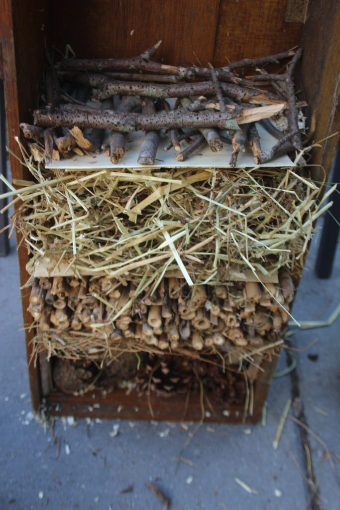 how to build a bug hotel