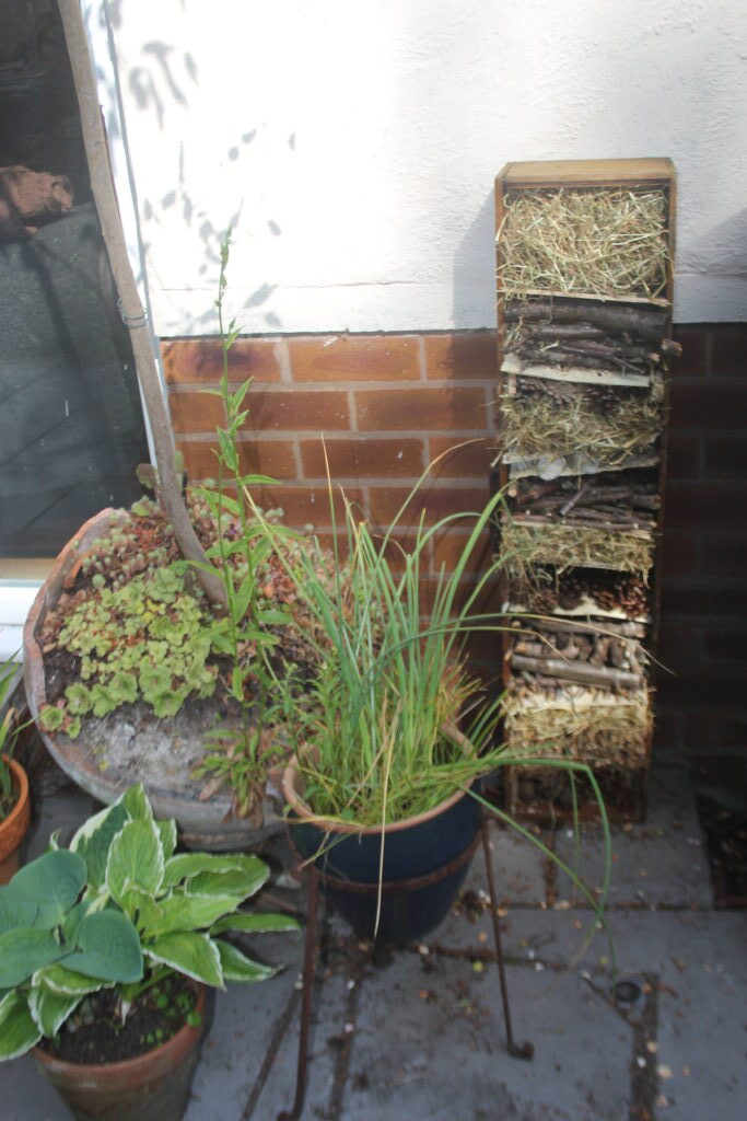 make a bug hotel