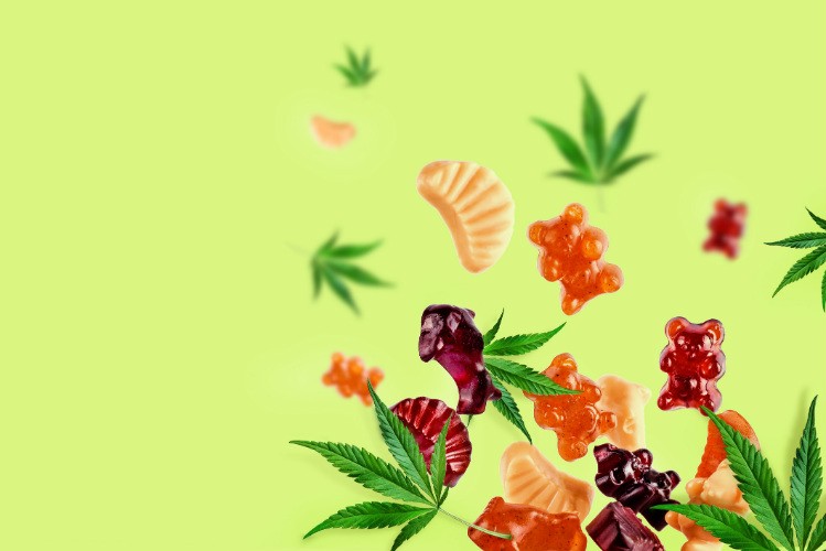 Everything you need to know about CBD & the Benefits
