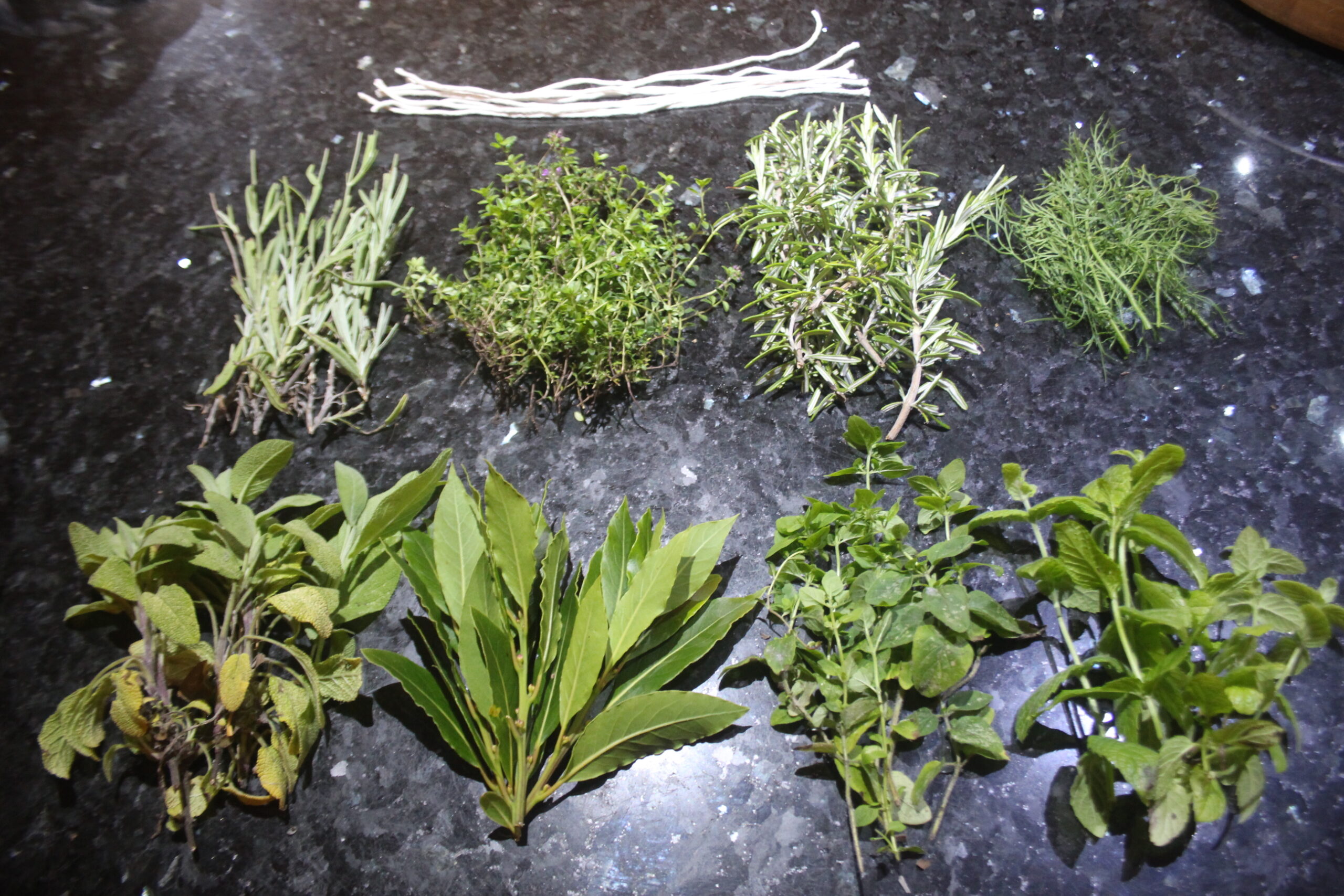 Air drying herbs