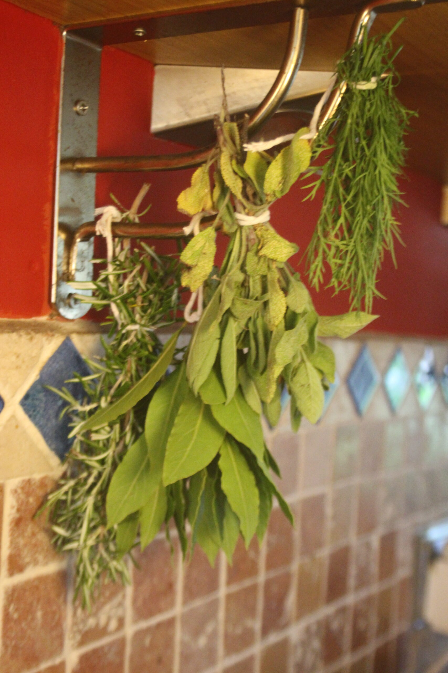 how to air dry herbs 