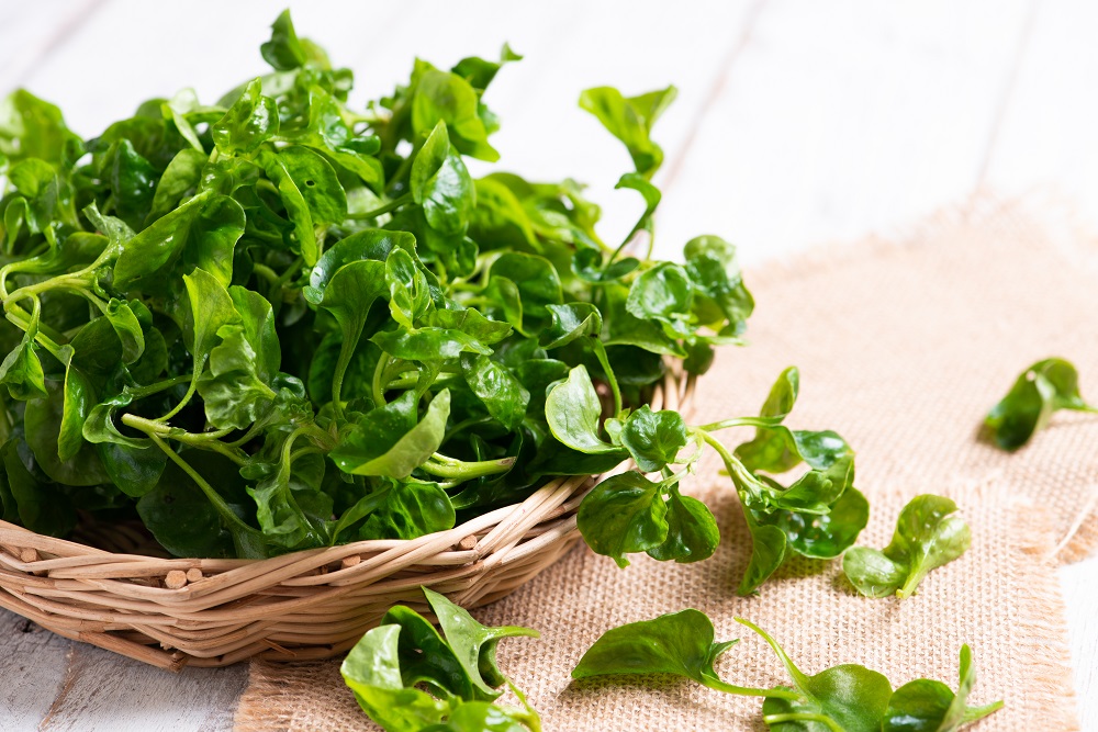 watercress