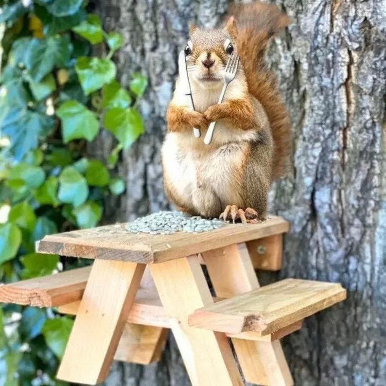 squirrel bench 