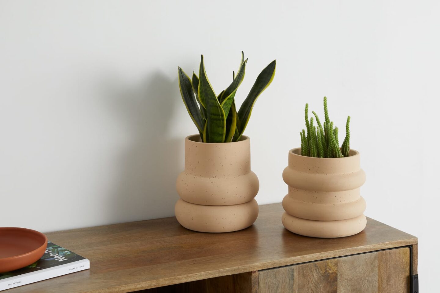 Earthenware Planters