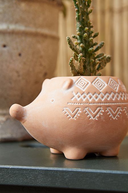 Hedgehog Planter