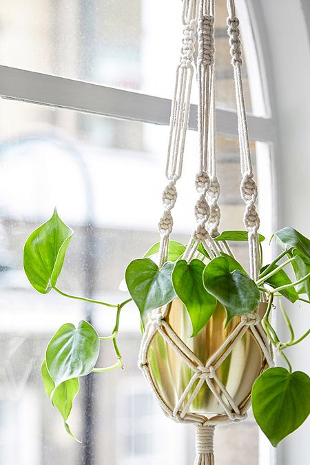 Macrame Hanging Planter 