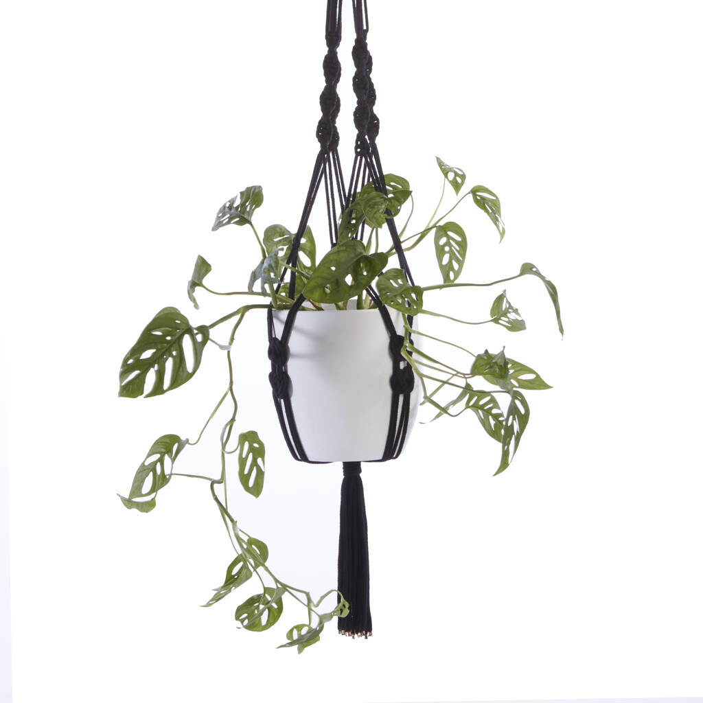 Recycled Macramé Plant Hanger