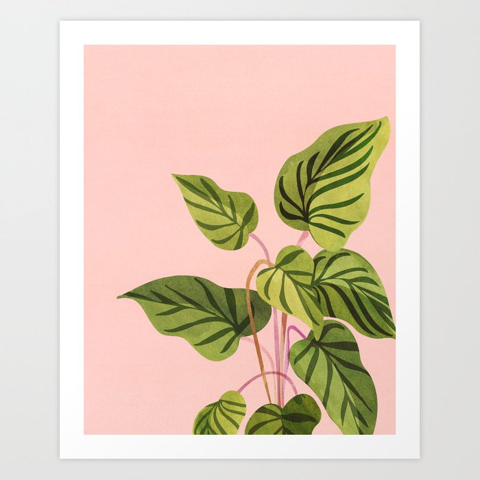 Tropical Plant Art Print