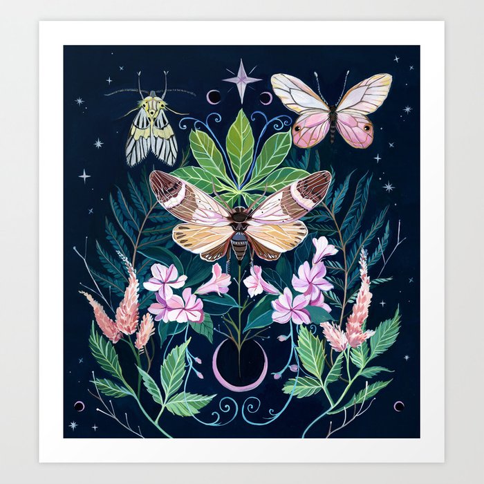 butterfly prints 
