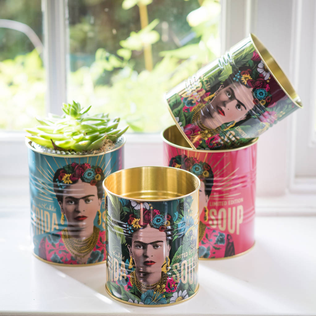 upcycled tin plant pots