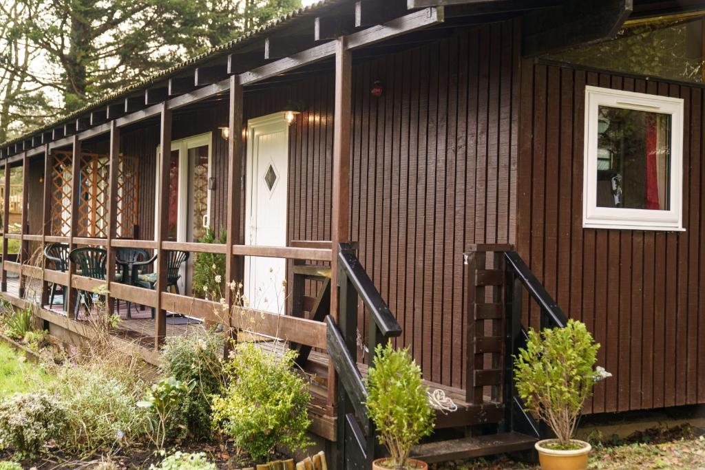 dog friendly cottages wales