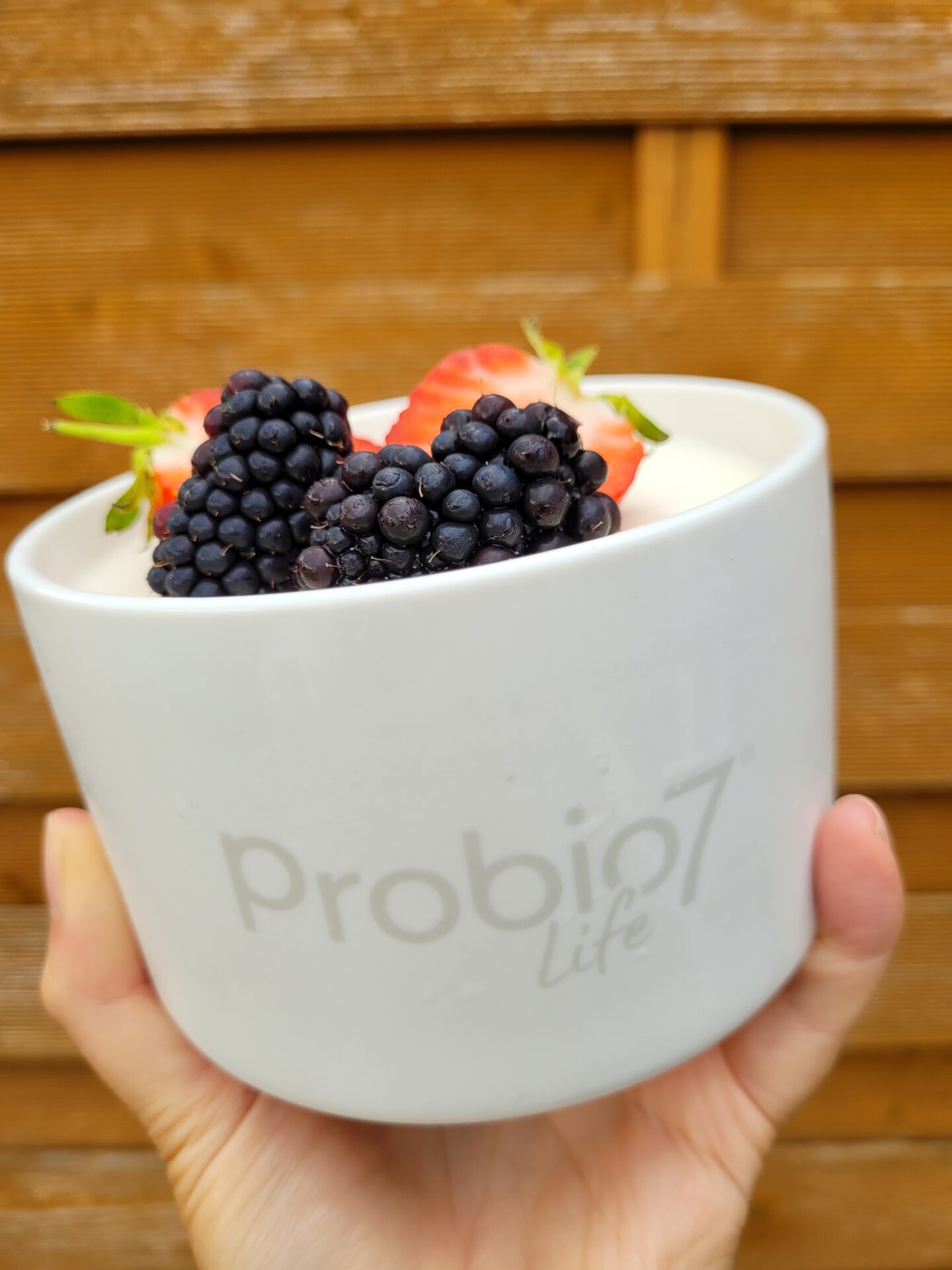 probio7 review