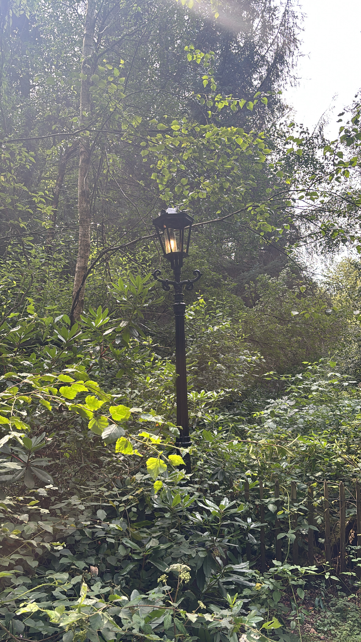 Magical lamppost