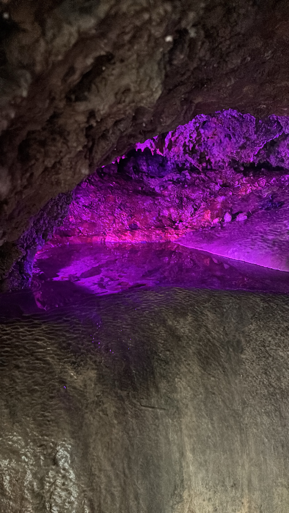 Mother shipton facts