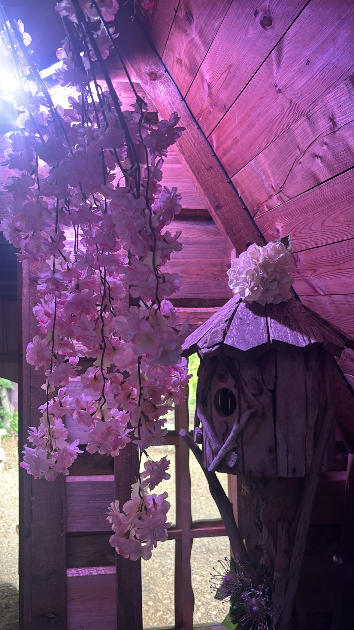 Mother Shiptons Cave