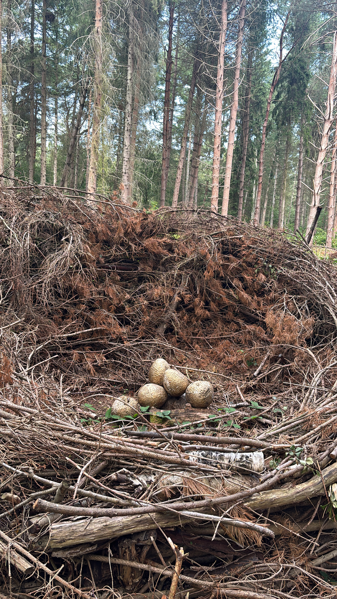 Dragon Nest Dreamery Gardens