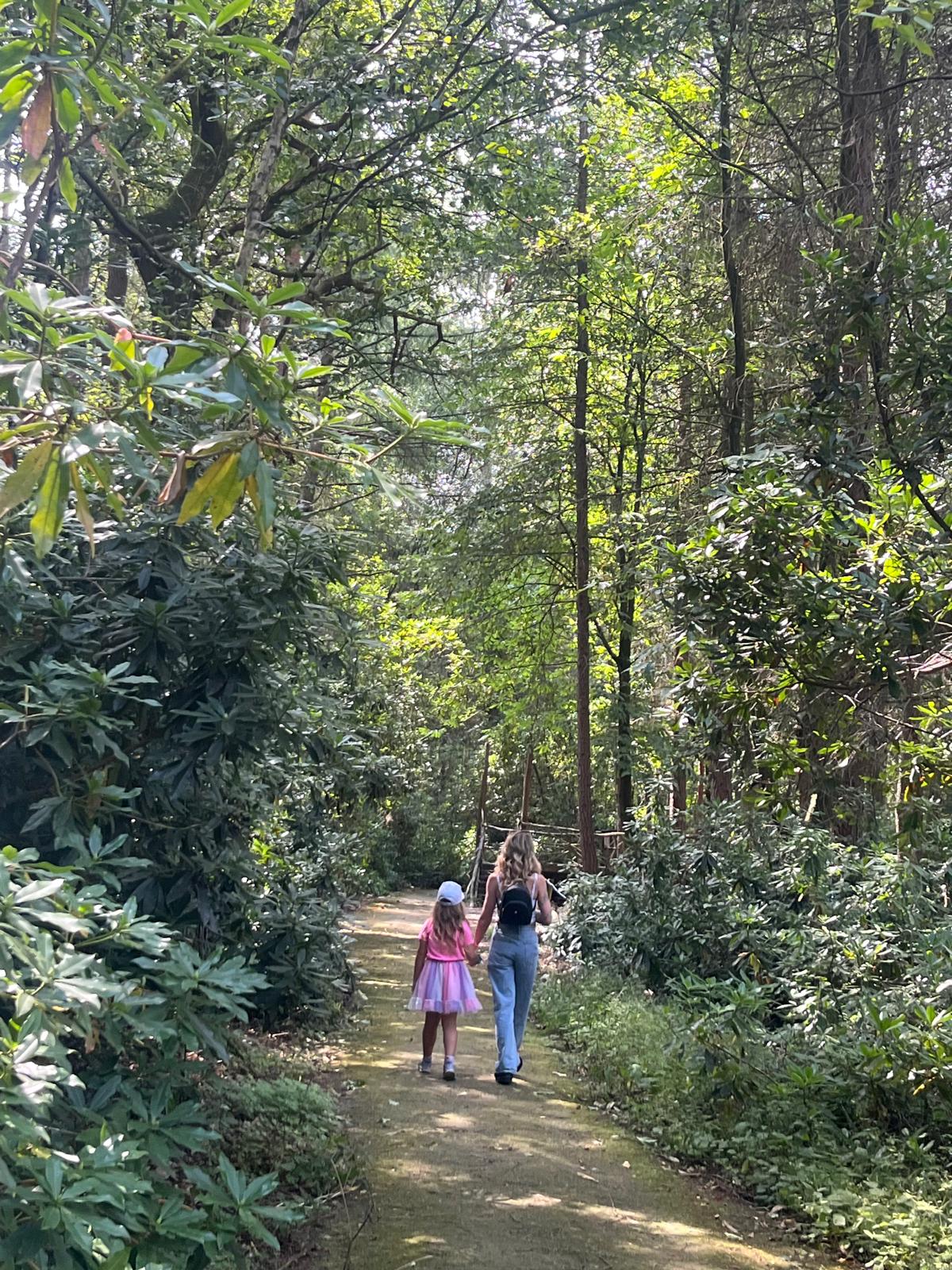 Dreamery gardens with kids