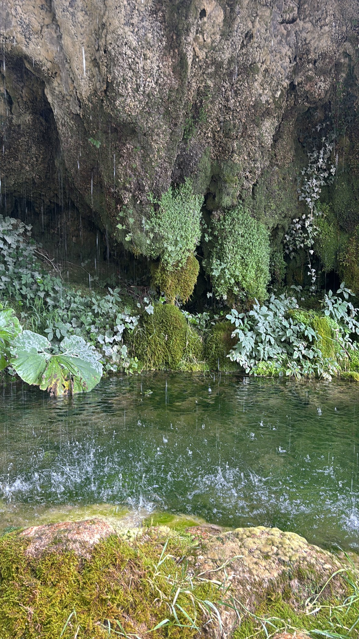 Moter shiptons waterfall