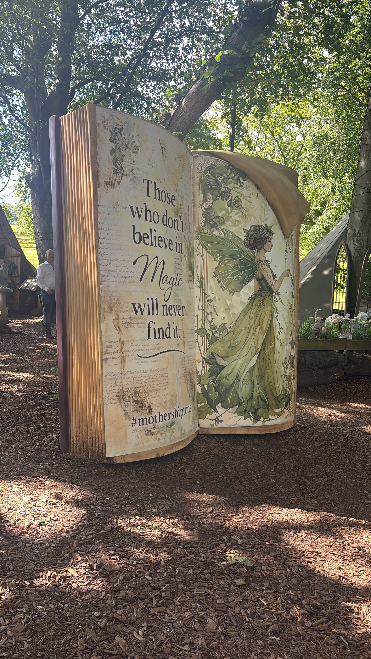 Magical days out in york