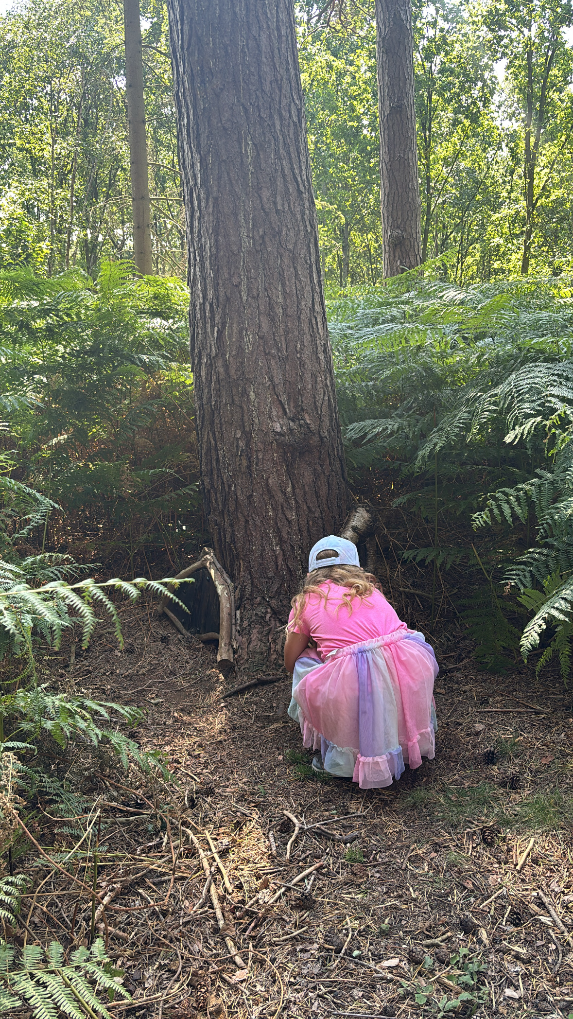 york days out with kids