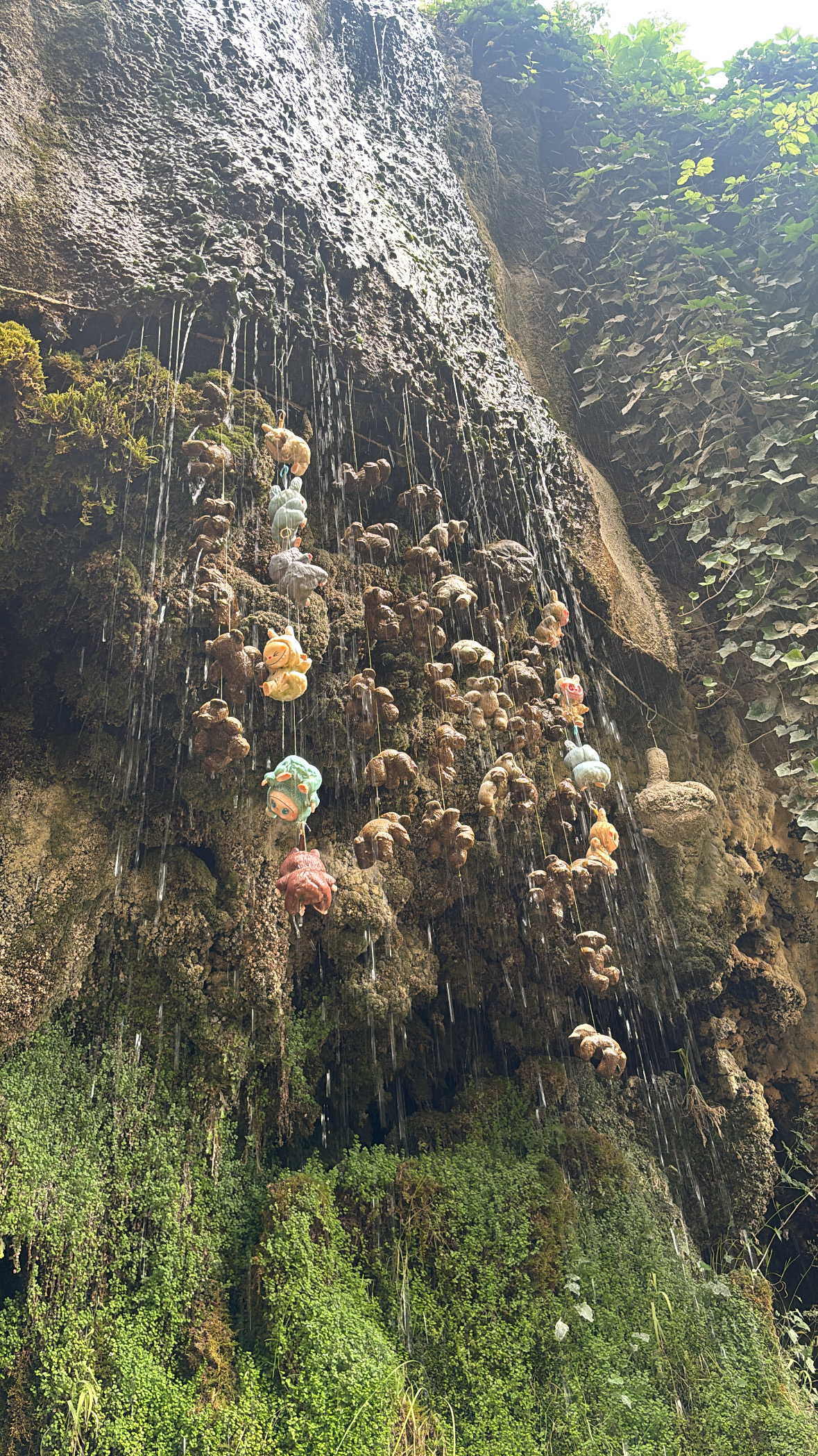 Mother Shiptons York