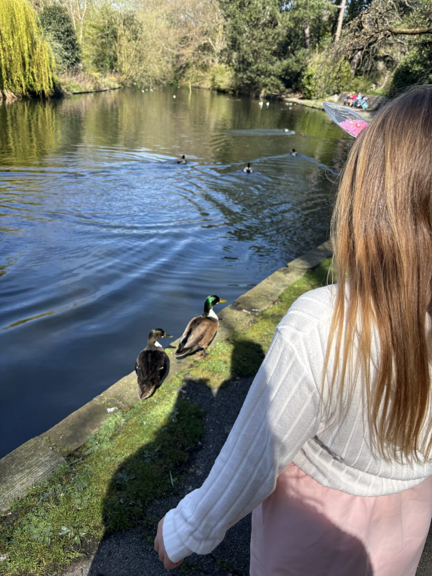 Botanic Gardens Southport Duck Feeding
