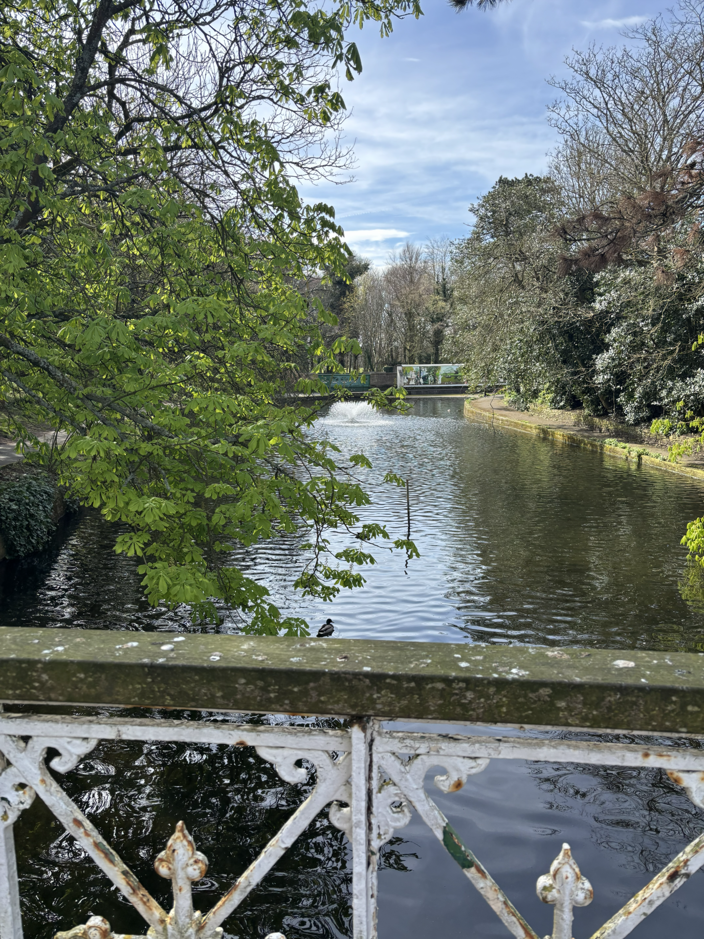 The Lake At Southport Botanic Gardens