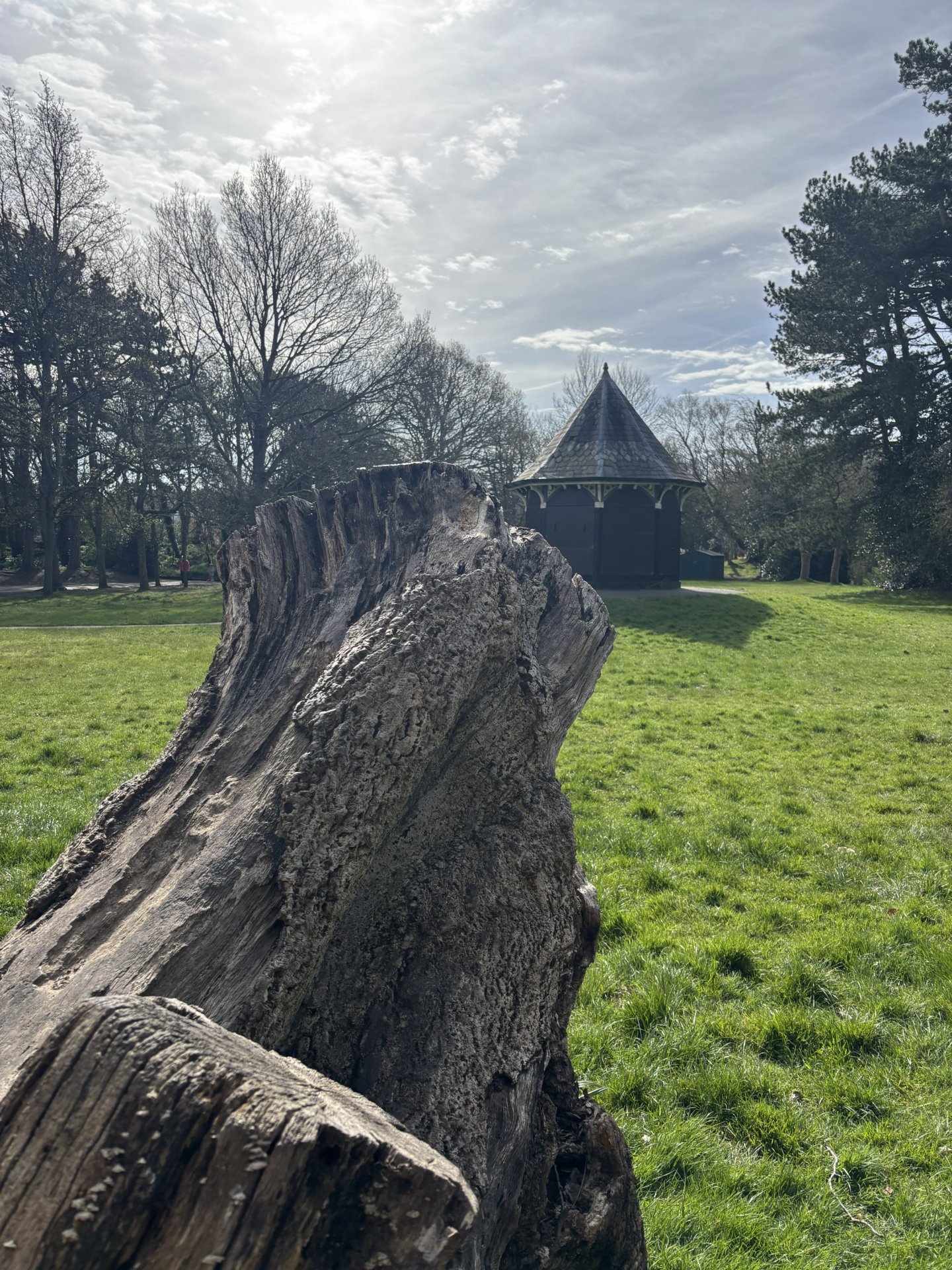 Botanic Garden fields churchtown