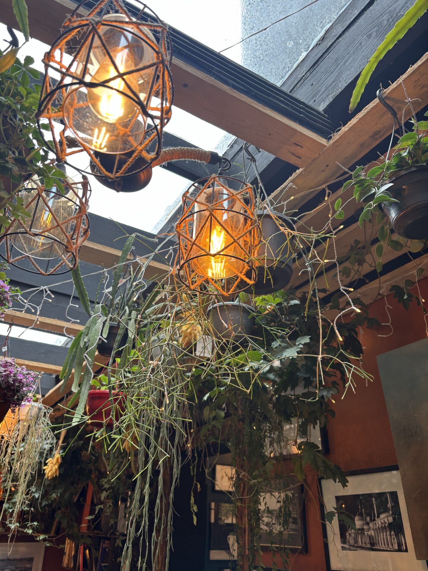 Brighton Garden Cafe