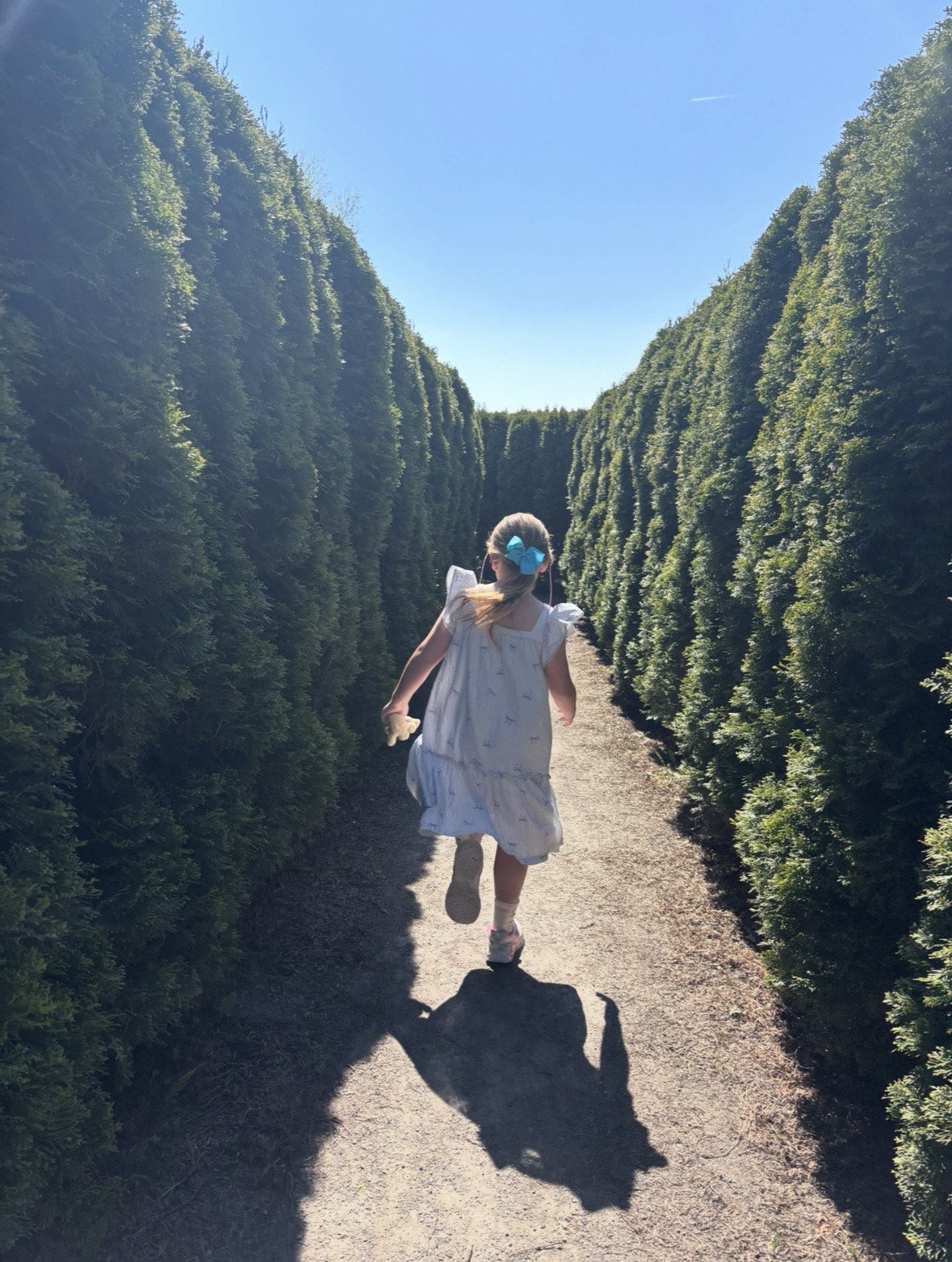speke hall maze