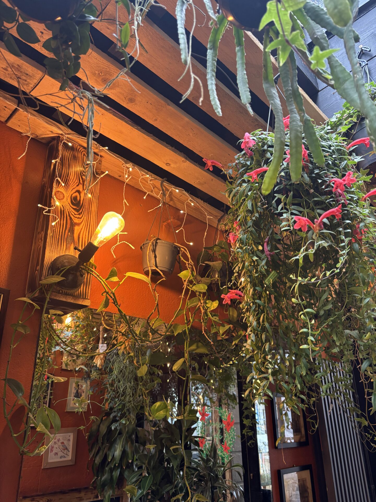 Garden Cafe Interior Brighton