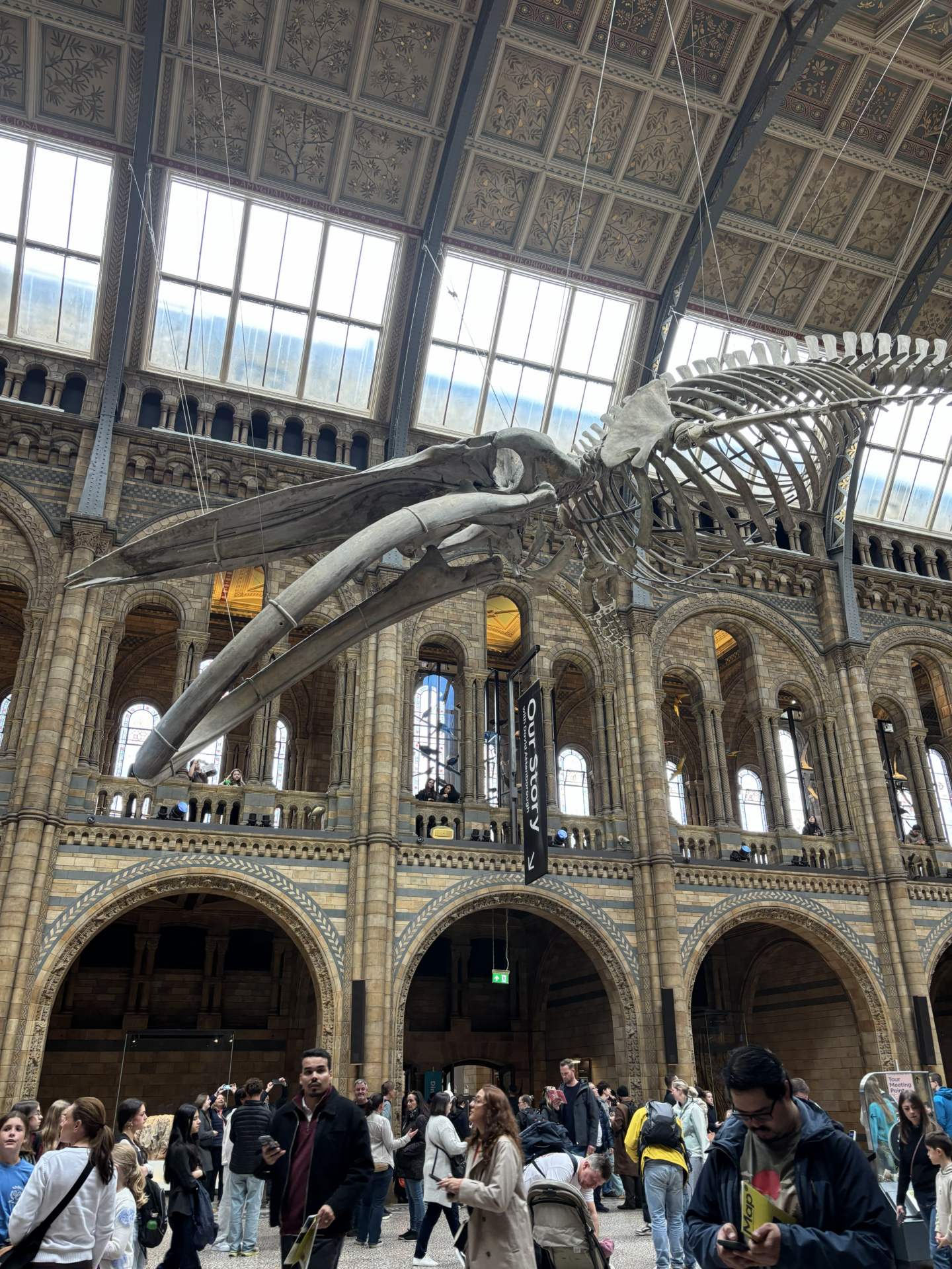 Natural History Museum Good with Kids