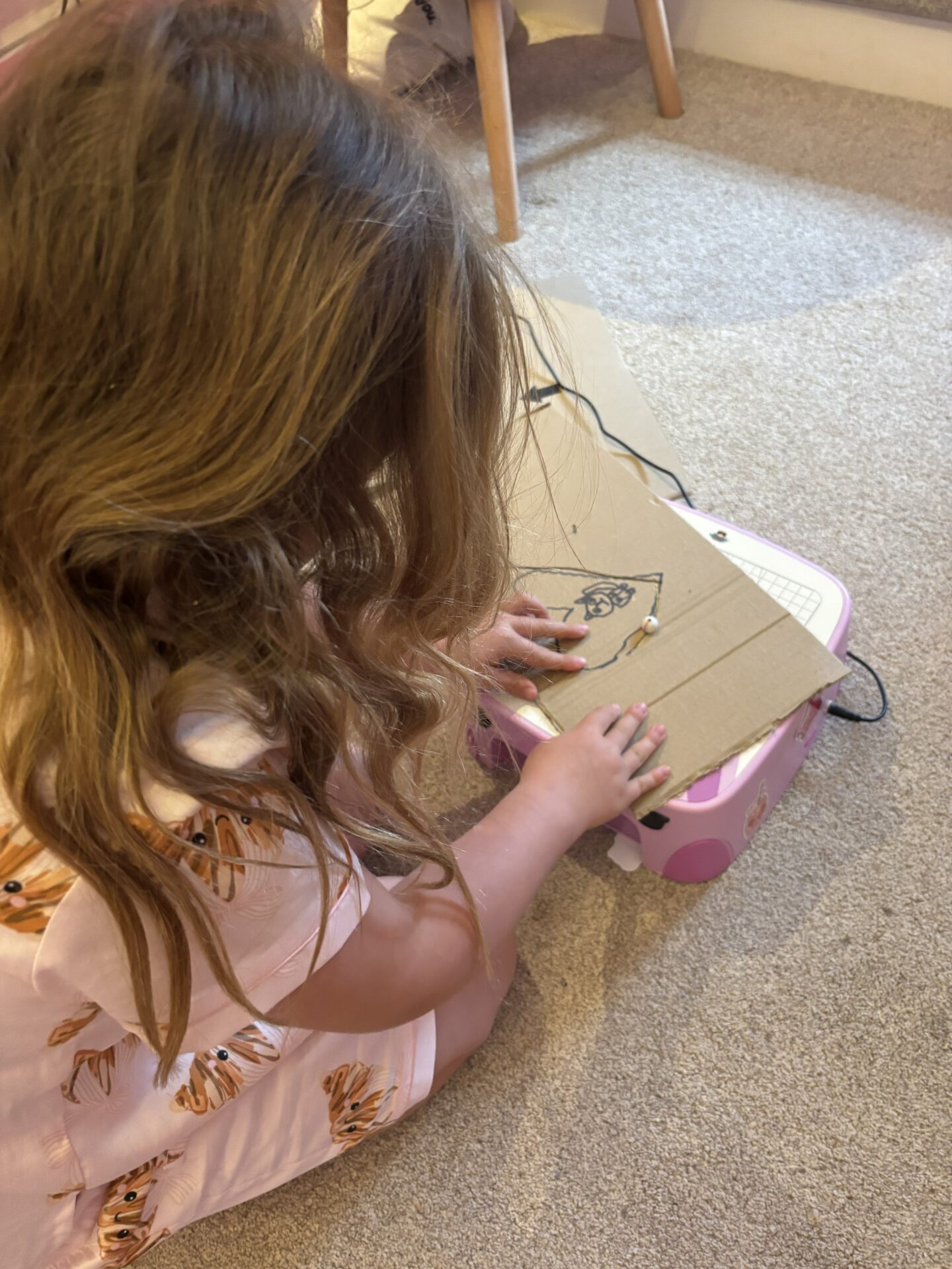 Self Directed Stem Toys