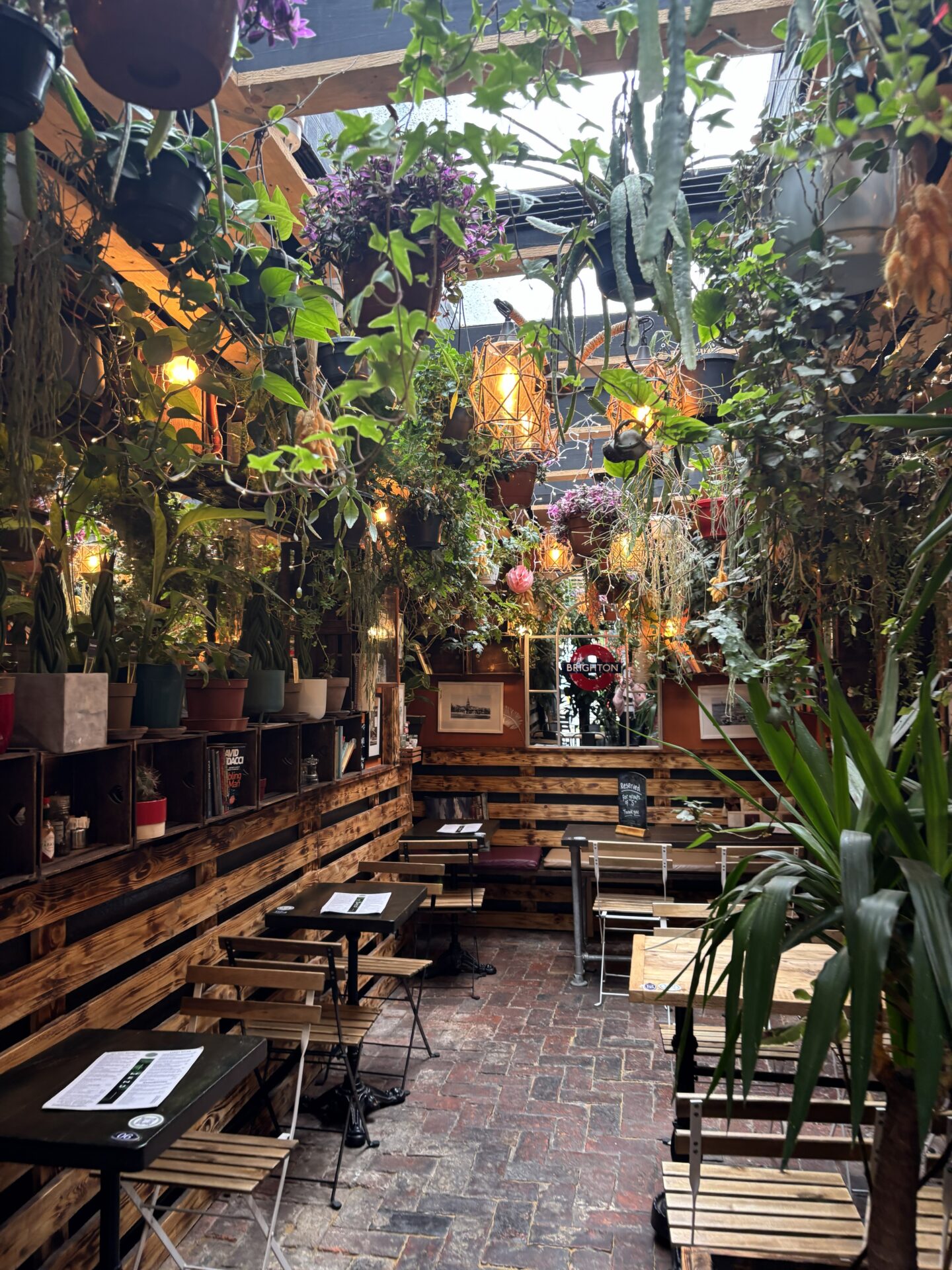 Brighton Cafe - Garden