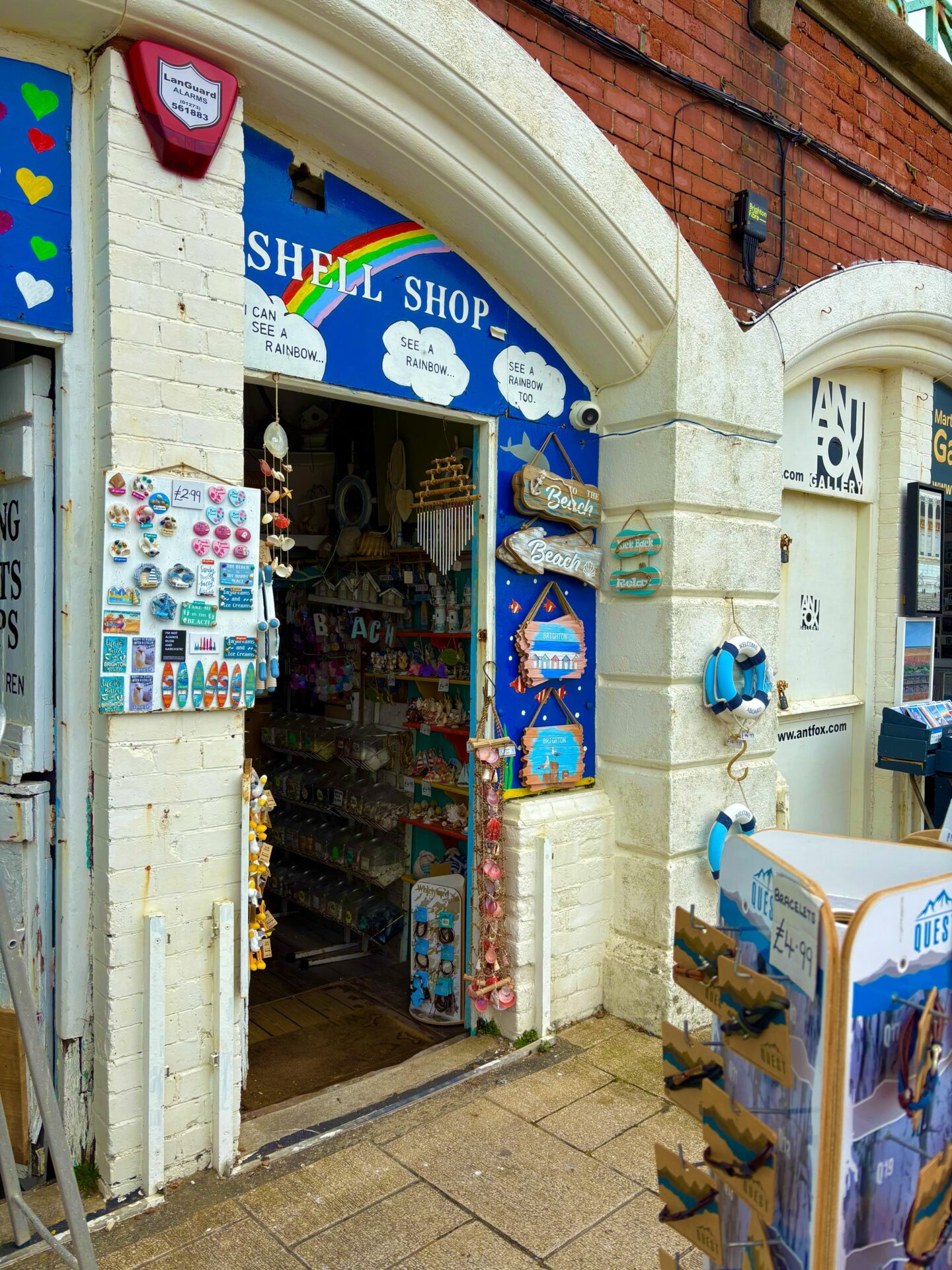 brighton shell shop