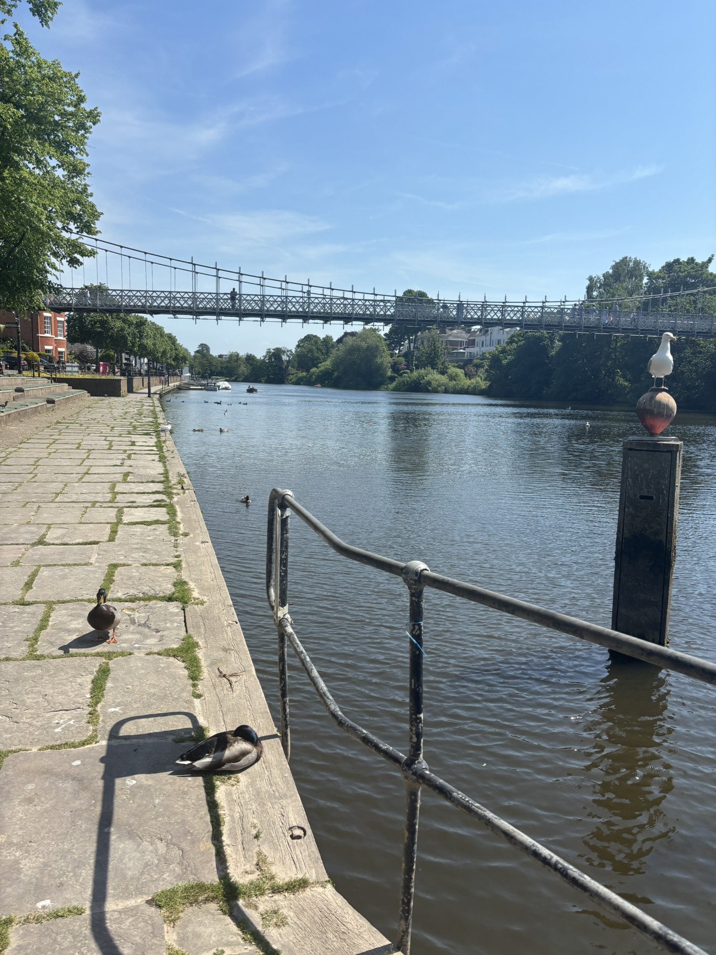 Things to do in chester with kids