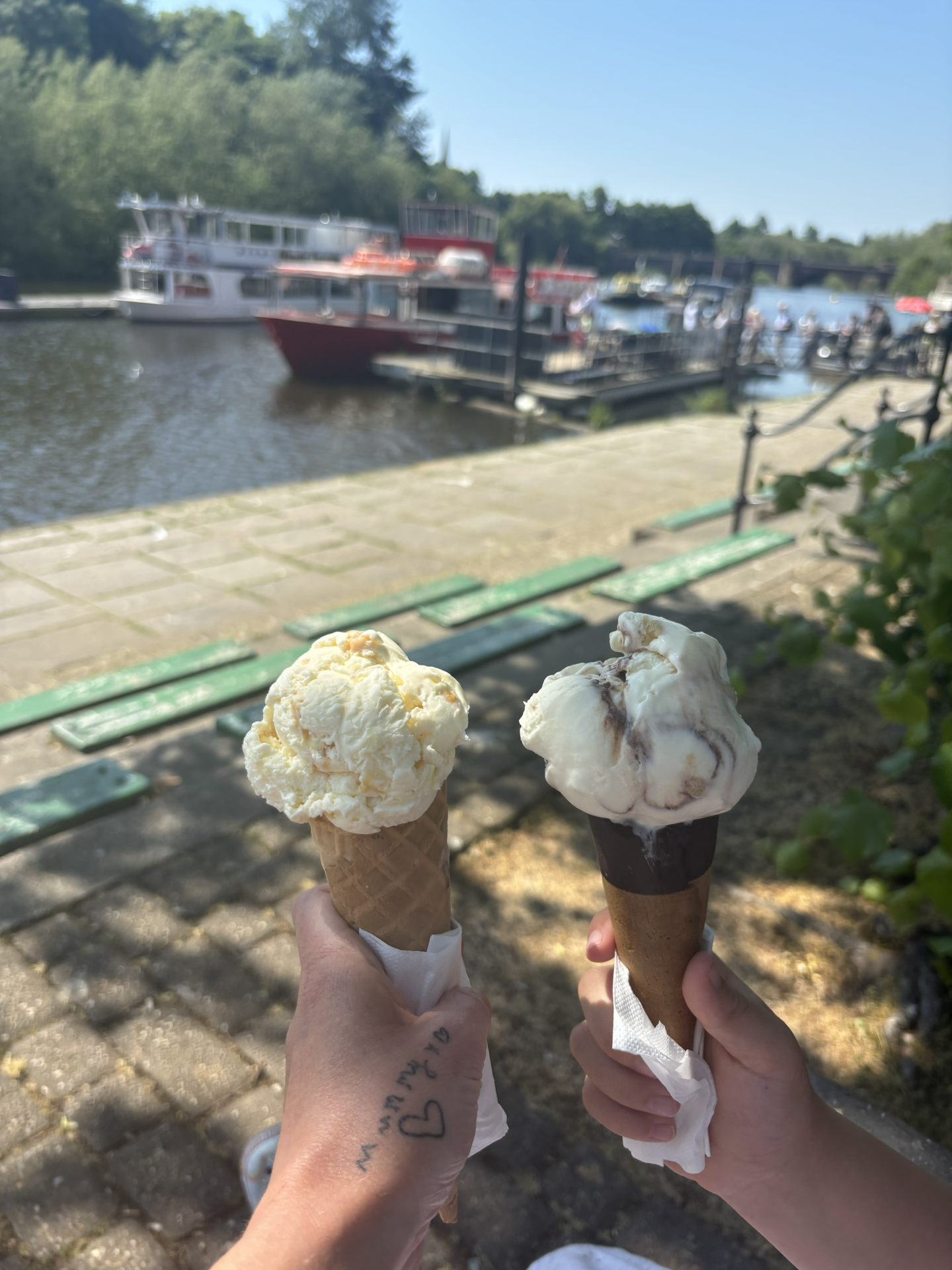 best Things to do in chester with kids