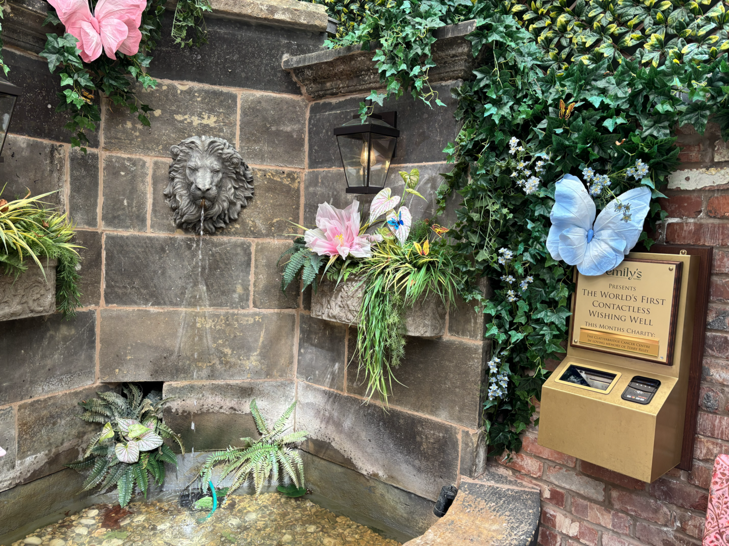 emilys formby wishing well