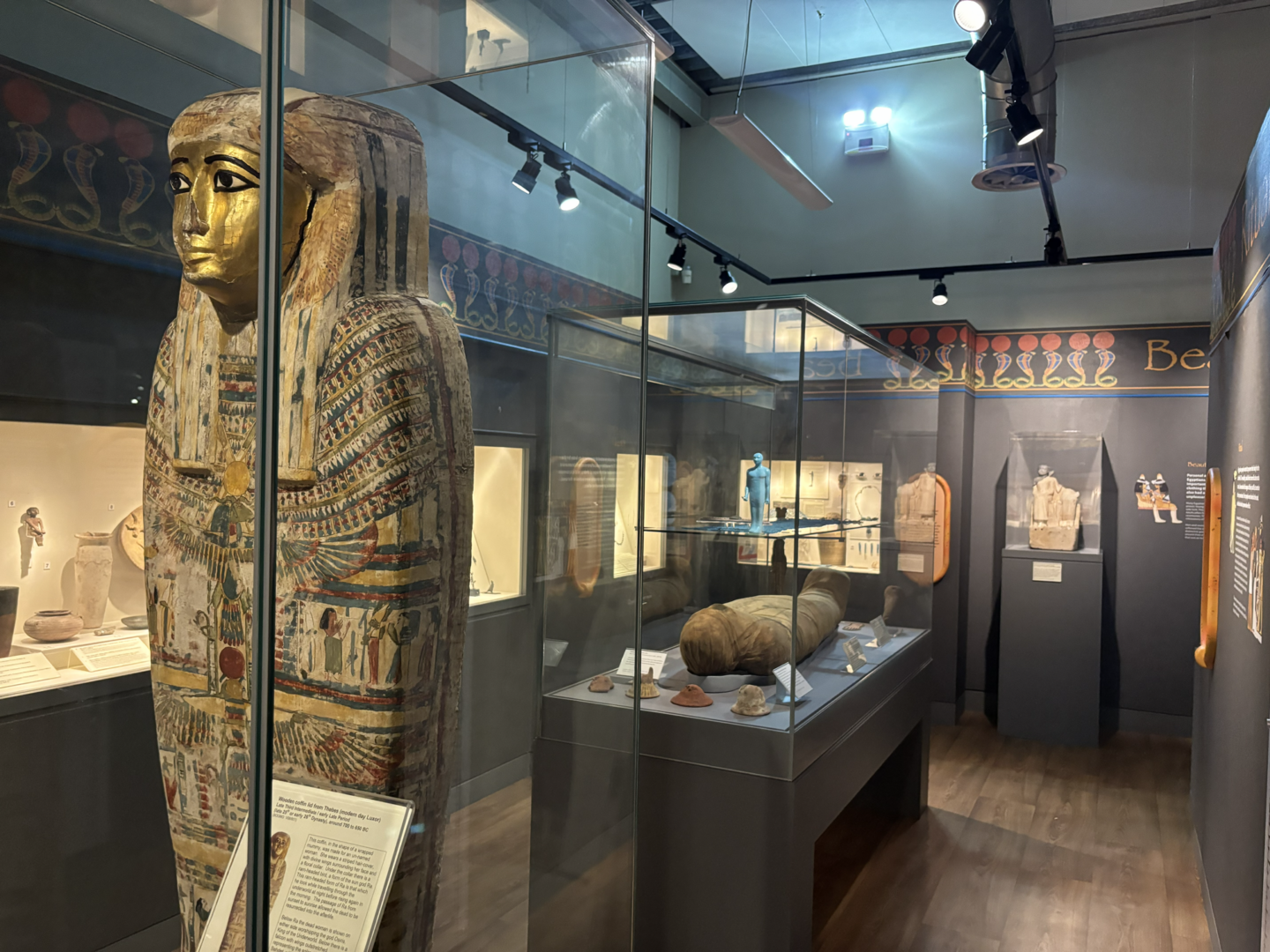 The atkinson museum egyptian mummy