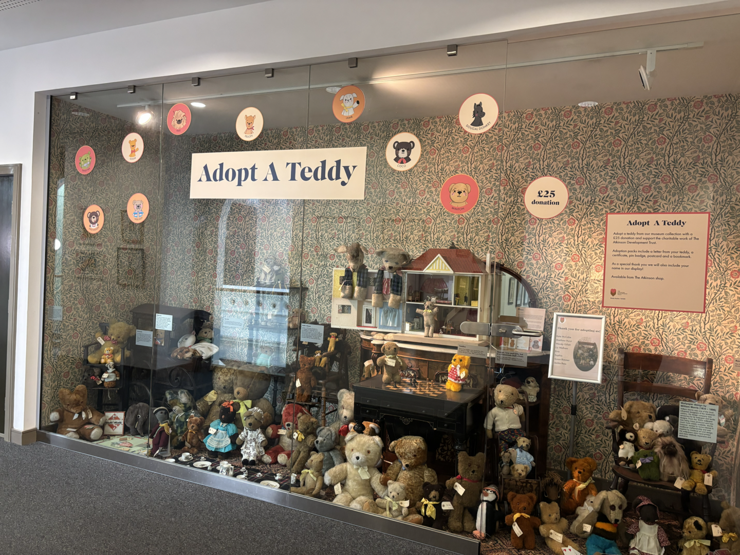 adopt a teddy at the atkinson southport