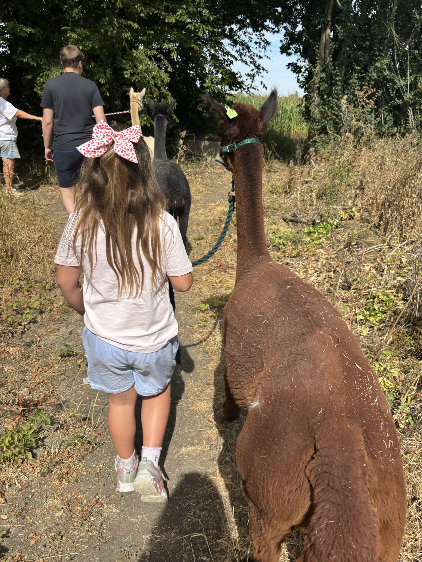 funny mum blog
