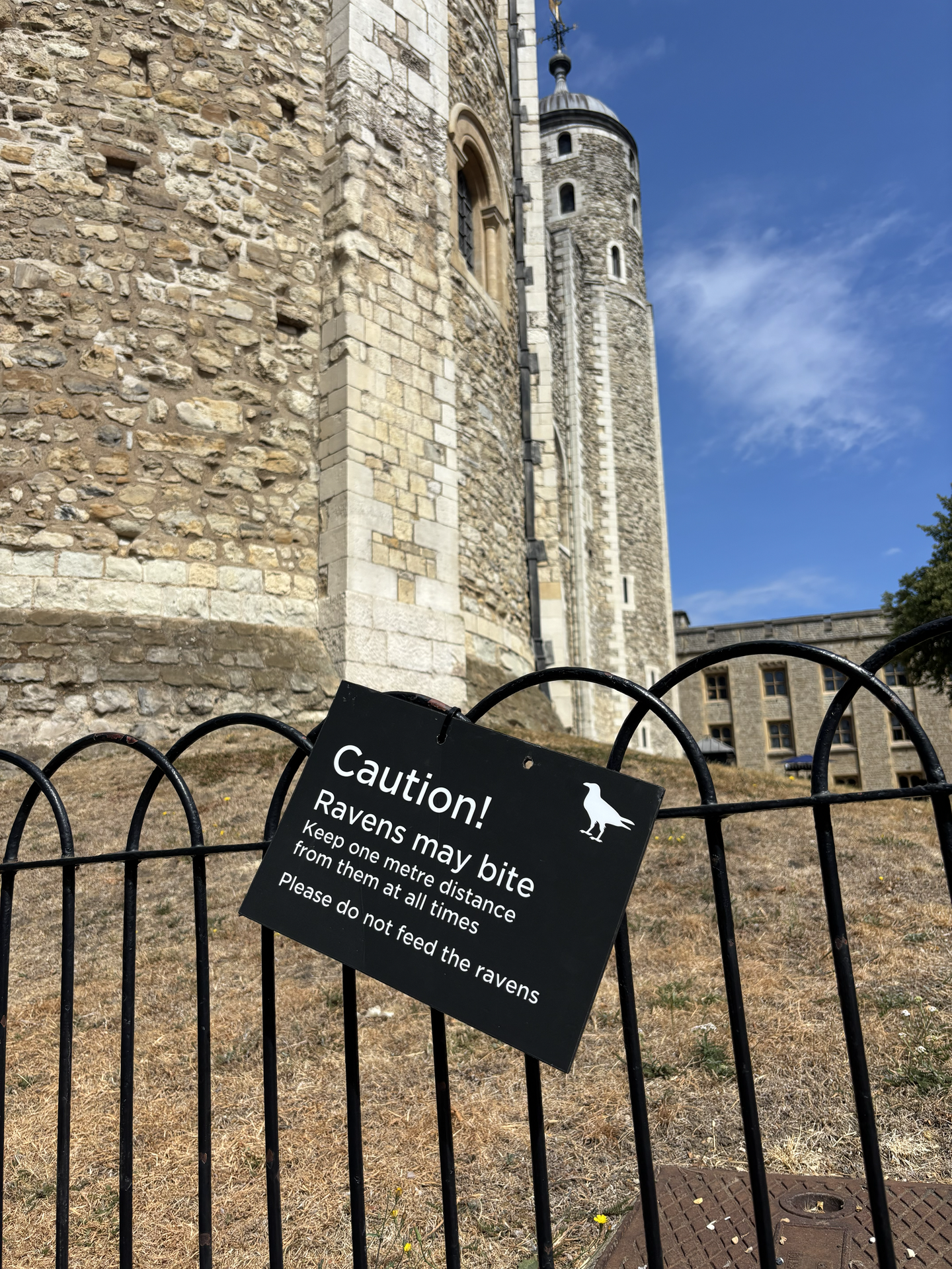 tower of london review with kids the ravens